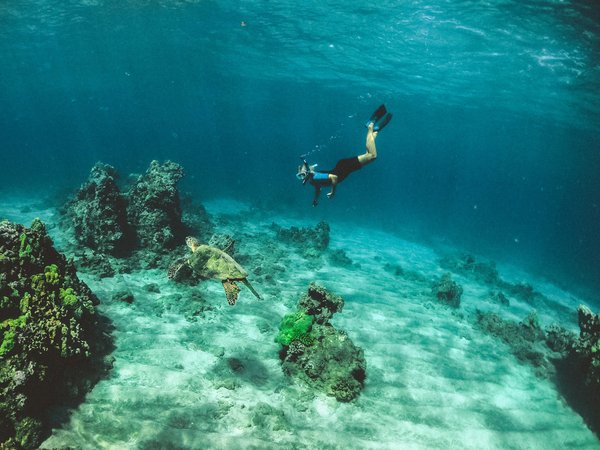 Quels sont les meilleurs spots pour une expédition de snorkeling dans les îles Philippines?